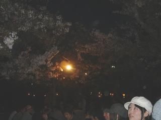 2004-04-10 11:39:28