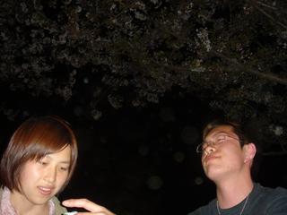 2004-04-10 10:59:30