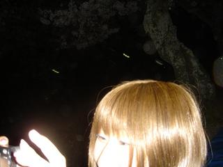 2004-04-10 10:59:54