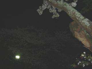 2004-04-10 11:43:26