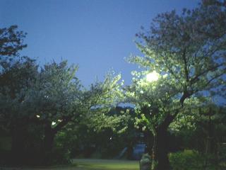 2004-04-10 11:45:08