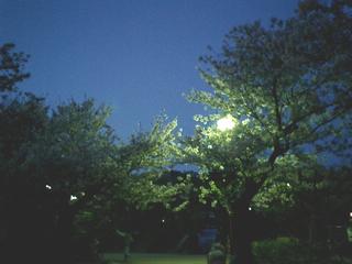 2004-04-10 11:45:00