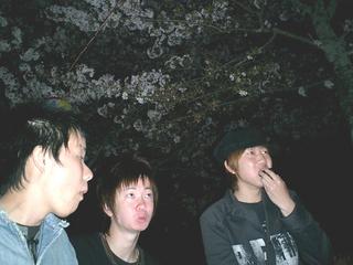 2004-04-10 11:44:28