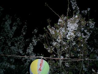 2002-01-22 03:00:23