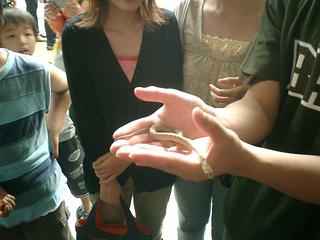 2002-01-01 00:06:12