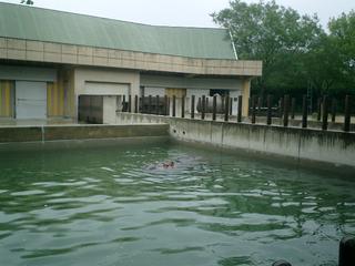 2002-01-01 00:23:23