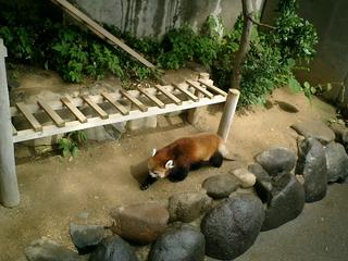 2002-01-01 00:45:36