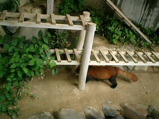 2002-01-01 00:45:49