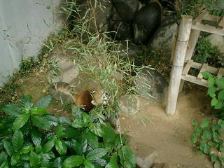 2002-01-01 00:45:56