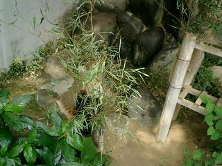 2002-01-01 00:46:14