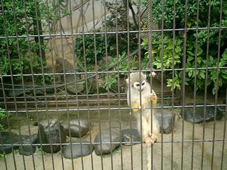 2002-01-01 01:00:49