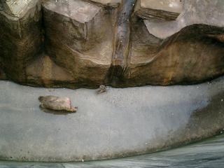 2002-01-01 01:08:55