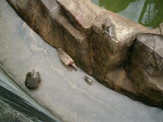 2002-01-01 01:08:59