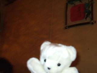 2005-11-13 19:25:22